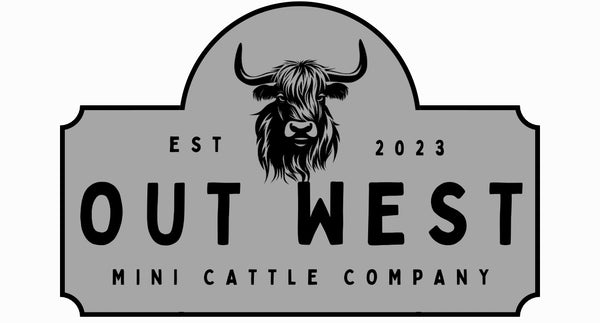 Out West Miniature Cattle